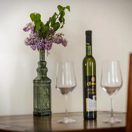 Apartmán Franka Old Town *